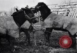 Image of American encampment World War I Europe, 1918, second 17 stock footage video 65675039656