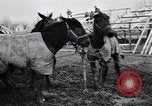 Image of American encampment World War I Europe, 1918, second 19 stock footage video 65675039656