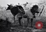 Image of American encampment World War I Europe, 1918, second 20 stock footage video 65675039656