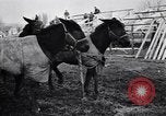 Image of American encampment World War I Europe, 1918, second 21 stock footage video 65675039656