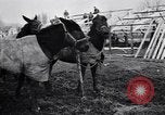 Image of American encampment World War I Europe, 1918, second 22 stock footage video 65675039656