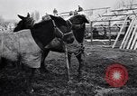 Image of American encampment World War I Europe, 1918, second 23 stock footage video 65675039656