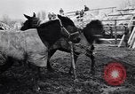 Image of American encampment World War I Europe, 1918, second 25 stock footage video 65675039656