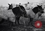 Image of American encampment World War I Europe, 1918, second 27 stock footage video 65675039656