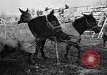 Image of American encampment World War I Europe, 1918, second 28 stock footage video 65675039656