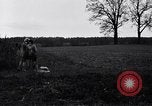 Image Chasse au faisan Allemagne, 1919, de la seconde 33 séquences d'archives historiques vidéo 65675039667