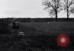 Image Chasse au faisan Allemagne, 1919, de la seconde 41 séquences d'archives historiques vidéo 65675039667