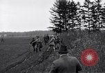 Image Chasse au faisan Allemagne, 1919, de la seconde 50 séquences d'archives historiques vidéo 65675039667