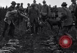 Image Chasse au faisan Allemagne, 1919, de la seconde 52 séquences d'archives historiques vidéo 65675039667