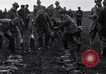 Image Chasse au faisan Allemagne, 1919, de la seconde 53 séquences d'archives historiques vidéo 65675039667