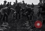 Image Chasse au faisan Allemagne, 1919, de la seconde 54 séquences d'archives historiques vidéo 65675039667