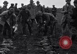 Image Chasse au faisan Allemagne, 1919, de la seconde 55 séquences d'archives historiques vidéo 65675039667