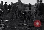 Image Chasse au faisan Allemagne, 1919, de la seconde 56 séquences d'archives historiques vidéo 65675039667