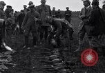 Image Chasse au faisan Allemagne, 1919, de la seconde 57 séquences d'archives historiques vidéo 65675039667