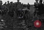 Image Chasse au faisan Allemagne, 1919, de la seconde 58 séquences d'archives historiques vidéo 65675039667