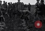 Image Chasse au faisan Allemagne, 1919, de la seconde 59 séquences d'archives historiques vidéo 65675039667