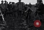 Image Chasse au faisan Allemagne, 1919, de la seconde 60 séquences d'archives historiques vidéo 65675039667