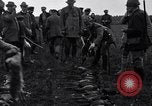 Image Chasse au faisan Allemagne, 1919, de la seconde 61 séquences d'archives historiques vidéo 65675039667