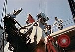 Image of Nuclear reactor United States USA, 1955, second 35 stock footage video 65675039672