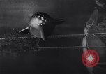 Image of German vintage space ship animation 1930s Germany, 1937, second 47 stock footage video 65675039698