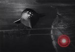 Image of German vintage space ship animation 1930s Germany, 1937, second 50 stock footage video 65675039698