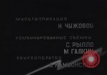 Standbild Blitz Russland, 1945, aus Sekunde 28 historischem Filmmaterial Videoclip 65675039703