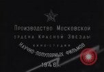 Standbild Blitz Russland, 1945, aus Sekunde 45 historischem Filmmaterial Videoclip 65675039703