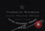 Standbild Blitz Russland, 1945, aus Sekunde 47 historischem Filmmaterial Videoclip 65675039703