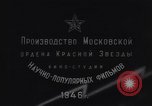 Standbild Blitz Russland, 1945, aus Sekunde 48 historischem Filmmaterial Videoclip 65675039703