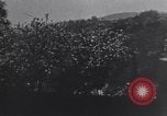 Immagine di Elevata viste Heidelberg Heidelberg Germania, 1945, secondo 54 filmato di repertorio 65675039709
