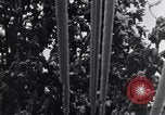 Image of United States Army Alsos unit Germany, 1945, second 40 stock footage video 65675039714