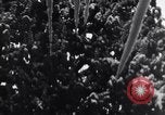 Image of United States Army Alsos unit Germany, 1945, second 44 stock footage video 65675039714