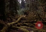 Standbild Olympischen Regenwald Olympia Washington USA, 1966, aus Sekunde 3 historischem Filmmaterial Videoclip 65675039732