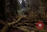 Standbild Olympischen Regenwald Olympia Washington USA, 1966, aus Sekunde 4 historischem Filmmaterial Videoclip 65675039732
