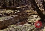 Standbild Olympischen Regenwald Olympia Washington USA, 1966, aus Sekunde 35 historischem Filmmaterial Videoclip 65675039732