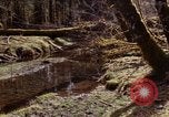 Standbild Olympischen Regenwald Olympia Washington USA, 1966, aus Sekunde 40 historischem Filmmaterial Videoclip 65675039732