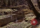 Standbild Olympischen Regenwald Olympia Washington USA, 1966, aus Sekunde 41 historischem Filmmaterial Videoclip 65675039732