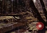 Standbild Olympischen Regenwald Olympia Washington USA, 1966, aus Sekunde 54 historischem Filmmaterial Videoclip 65675039732