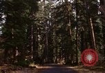 Image Rain Forest olympique Olympia Washington USA, 1966, de la seconde 1 séquences d'archives historiques vidéo 65675039733