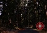 Image Rain Forest olympique Olympia Washington USA, 1966, de la seconde 3 séquences d'archives historiques vidéo 65675039733