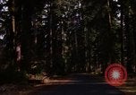 Image Rain Forest olympique Olympia Washington USA, 1966, de la seconde 6 séquences d'archives historiques vidéo 65675039733
