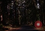 Image Rain Forest olympique Olympia Washington USA, 1966, de la seconde 7 séquences d'archives historiques vidéo 65675039733