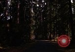 Image Rain Forest olympique Olympia Washington USA, 1966, de la seconde 11 séquences d'archives historiques vidéo 65675039733