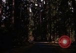 Image Rain Forest olympique Olympia Washington USA, 1966, de la seconde 12 séquences d'archives historiques vidéo 65675039733
