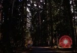 Image Rain Forest olympique Olympia Washington USA, 1966, de la seconde 14 séquences d'archives historiques vidéo 65675039733