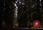Image Rain Forest olympique Olympia Washington USA, 1966, de la seconde 15 séquences d'archives historiques vidéo 65675039733