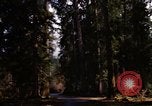 Image Rain Forest olympique Olympia Washington USA, 1966, de la seconde 16 séquences d'archives historiques vidéo 65675039733