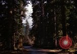 Image Rain Forest olympique Olympia Washington USA, 1966, de la seconde 18 séquences d'archives historiques vidéo 65675039733