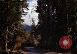 Image Rain Forest olympique Olympia Washington USA, 1966, de la seconde 20 séquences d'archives historiques vidéo 65675039733