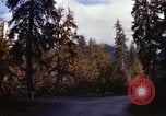Image Rain Forest olympique Olympia Washington USA, 1966, de la seconde 27 séquences d'archives historiques vidéo 65675039733